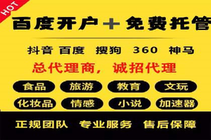 某公司如何通过SEM实现精准营销——从策略到执行的完整案例